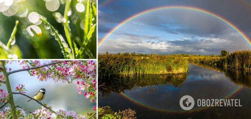 В Украину придут грозы и шквалы: синоптик рассказала, где ухудшится погода